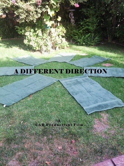 A Different Direction poster